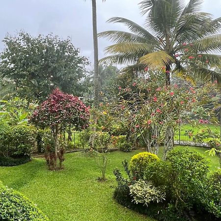 Surveyor'S Residence Bungalow Kandy Exteriör bild